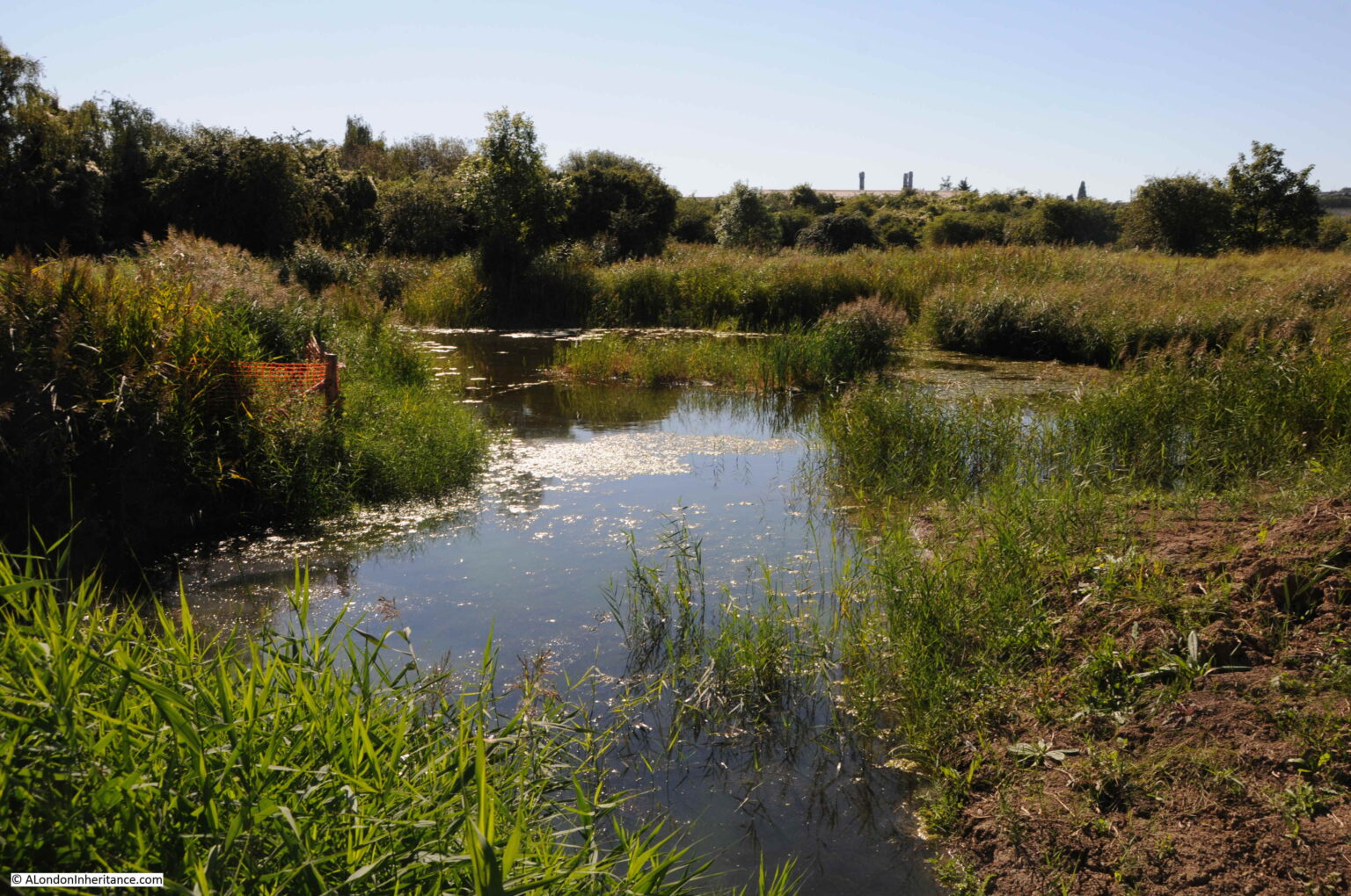 A London Inheritance